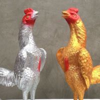 นัดซ้อมไก่