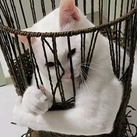 รักน้องปอๆ never gonna give you up