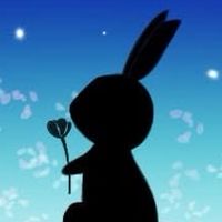 うさぎとの暮らし