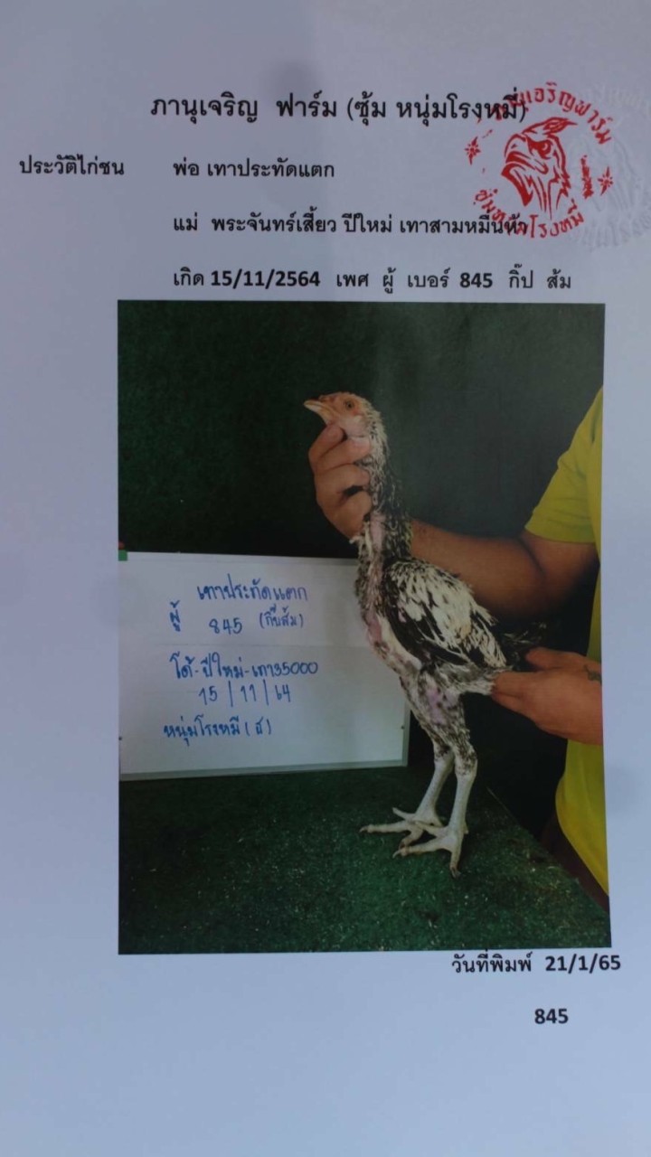พม่าพัฒนา