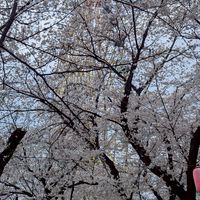 【群馬県】雑談すんべぇ！だんべぇ会