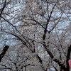 【群馬県】雑談すんべぇ！だんべぇ会