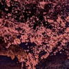 【群馬県】だんべぇ会