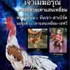 ส.กฤษณา ฟาร์มพัฒนาไก่ชนสายพันธุ์พม่า ไซง่อน จ.ตรัง