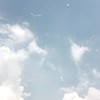 『 拝 啓 ： 名 前 も 知 ら な い あ な た へ 』〘全也〙