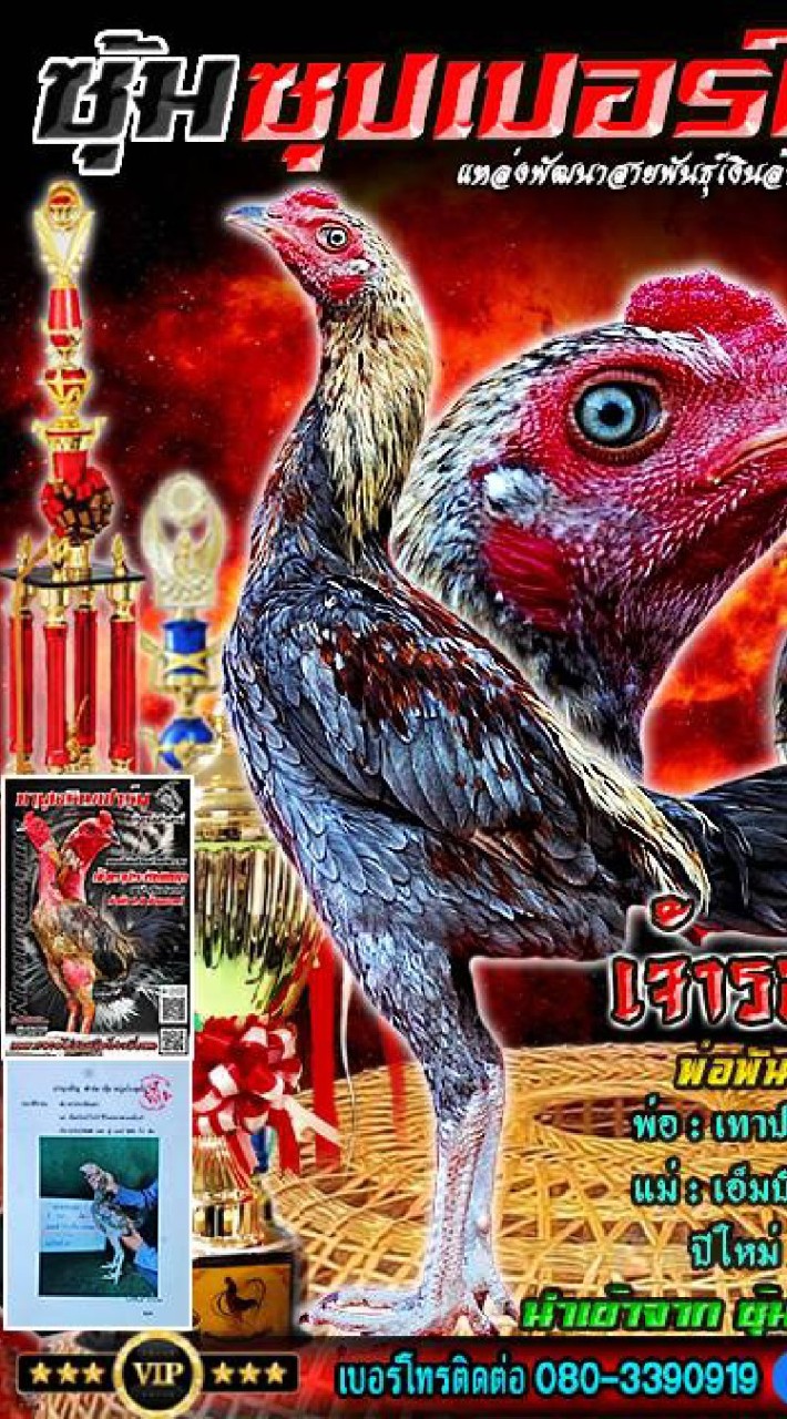 ซุปเปอร์ เรด 👺👺👺