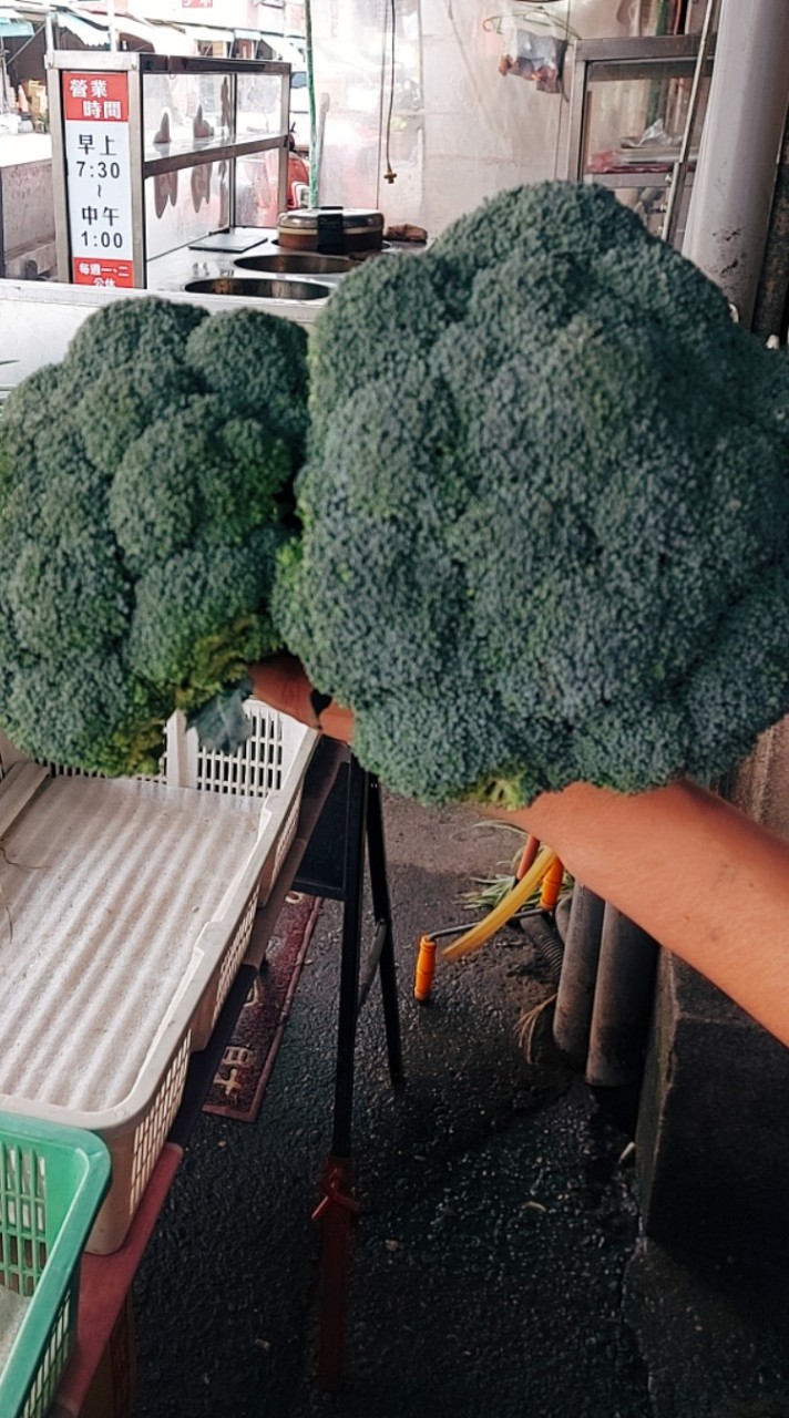 瑋綺鮮蔬🫛🥕🍄‍🟫青菜滴家啦🌽🍅🥦