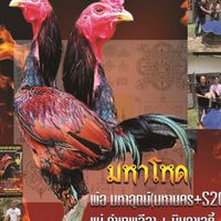 ป.ปานเทพ ฟาร์ม