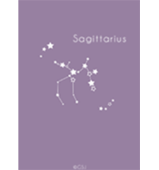 12constellations -Sagittarius（射手座）