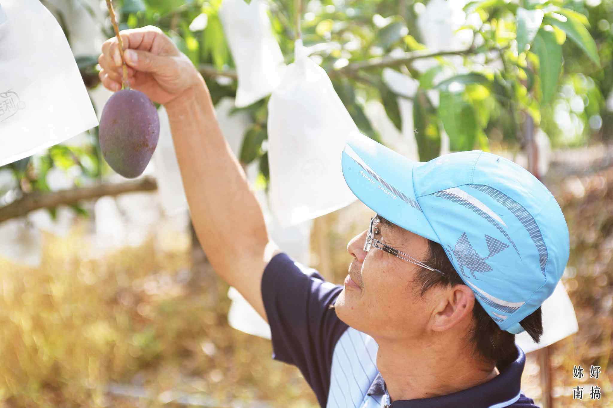 蜜旺果鋪 -02 - 妳好南搞