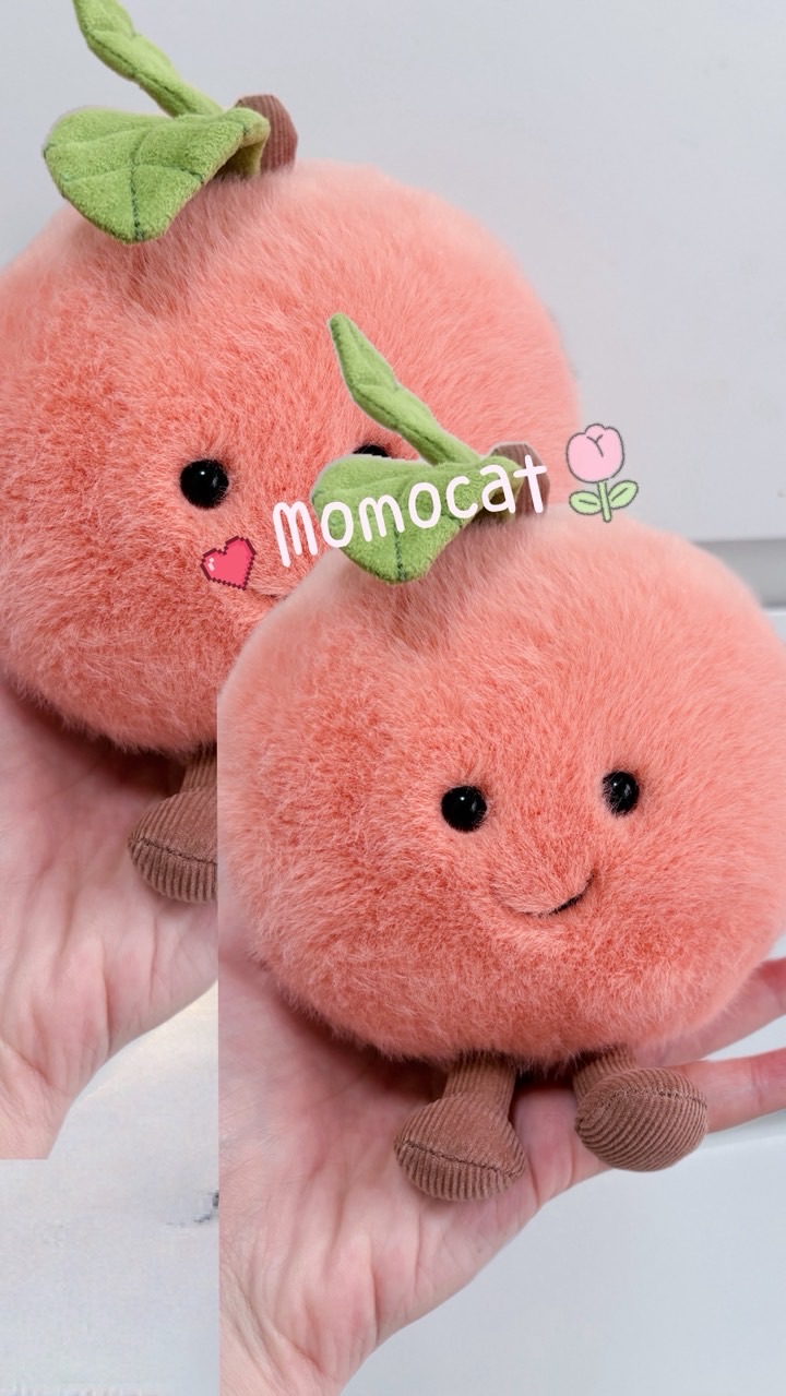 MomoCat_Official