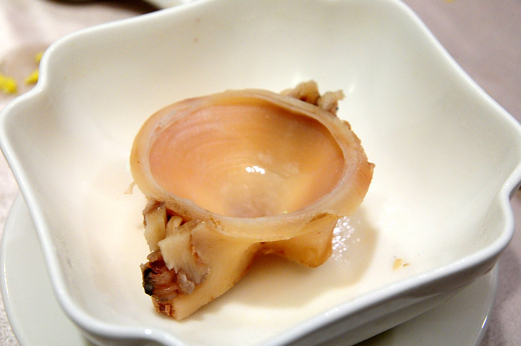 黑鮪魚