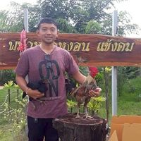 เล่นไก่เงินล้าน...ความเห็นไม่ตรงกัน
