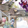 千葉県北西部ポケGO ポケモンGO