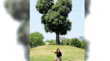 玩家帶路／最近的台中很！夢！幻！