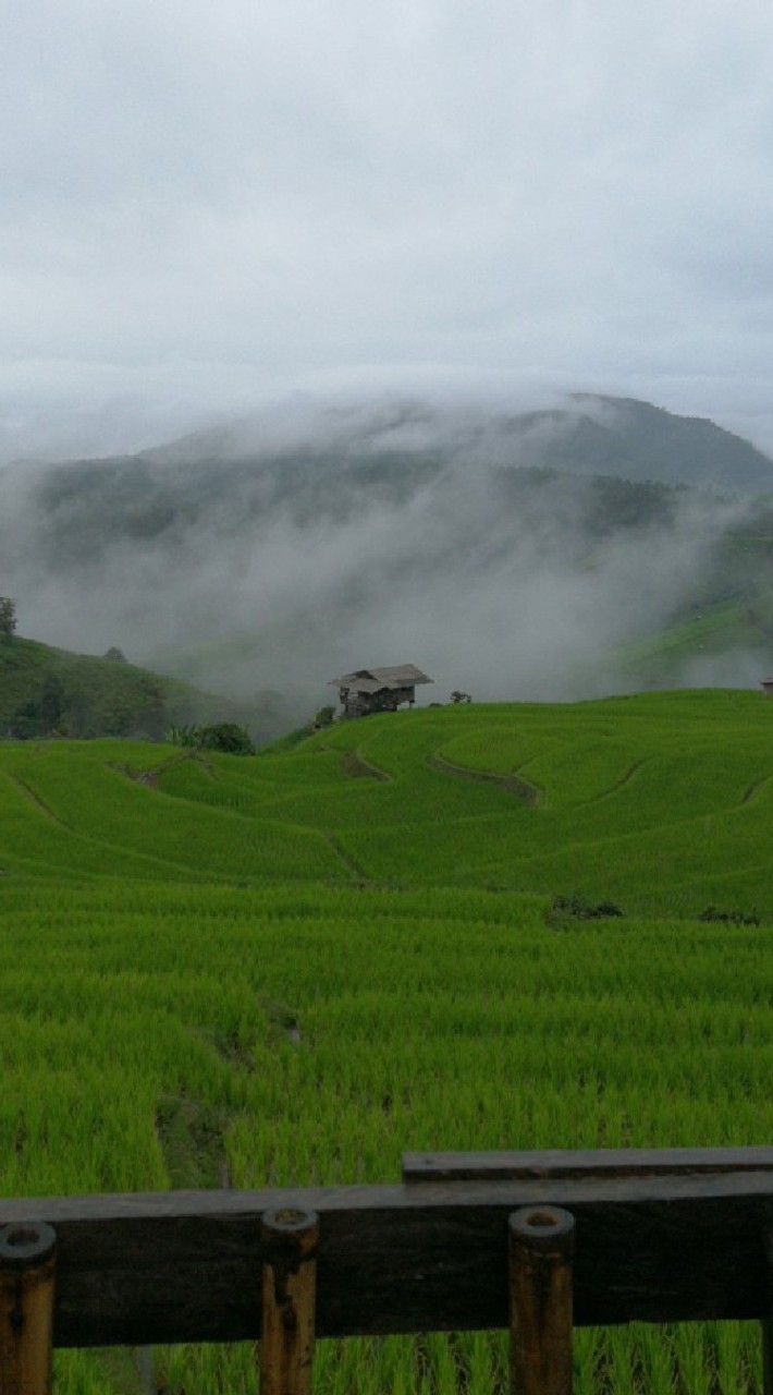 ทริปออนทัวร์🏞️💚🌾
