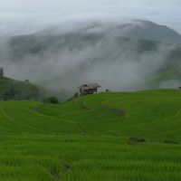 ทริปออนทัวร์🏞️💚🌾