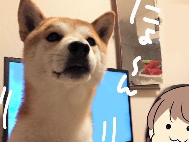 1000以上 ゆるい 柴犬 イラスト 簡単 100 ベストミキシング写真 イラストレーション