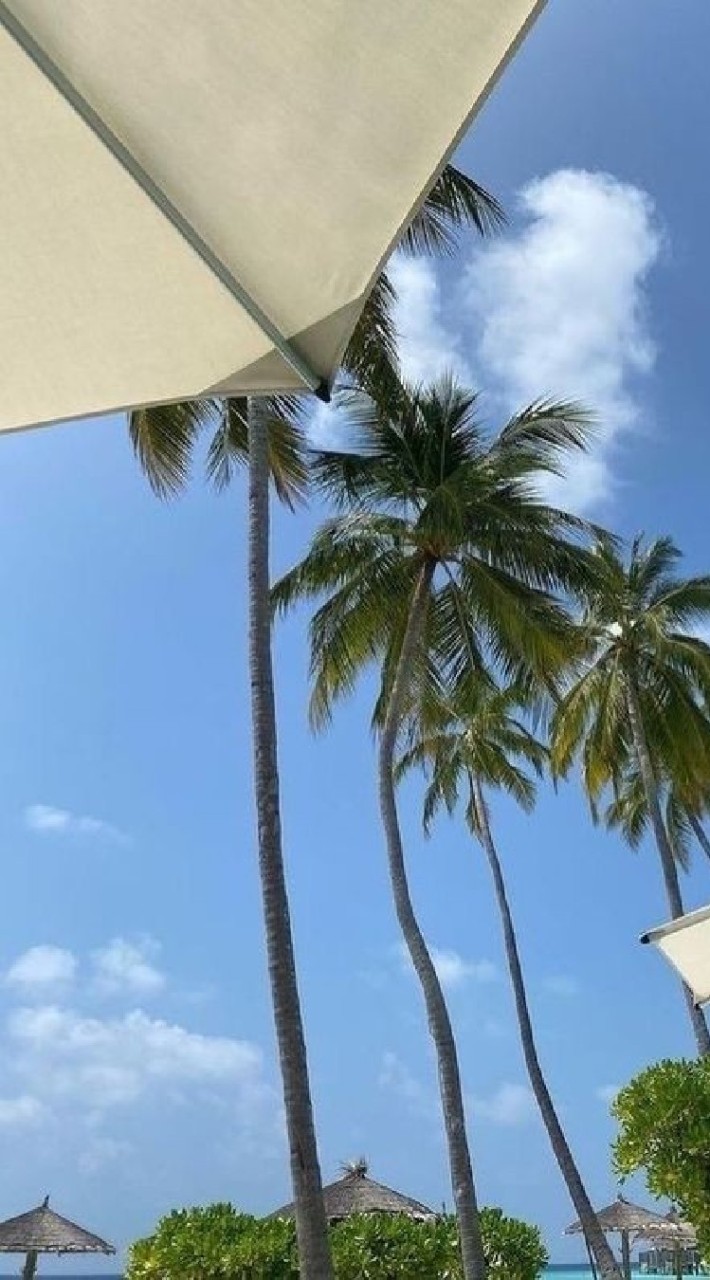 乁🏝️༼ เกาะ 𝐀- 𝐬 _ 𝐭𝐚𝐫 𝐟𝐨r𝐫𝐤 ✿༽🌴ㄏ
