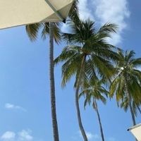 乁🏝️༼ เกาะ 𝐀- 𝐬 _ 𝐭𝐚𝐫 𝐟𝐨r𝐫𝐤 ✿༽🌴ㄏ