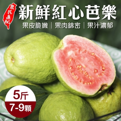 農人精挑細選的特級紅心芭樂 好山好水孕育出好滋味 芭樂脆軟適中，甜而不膩 帶點微酸的口感，怎麼吃怎麼涮嘴