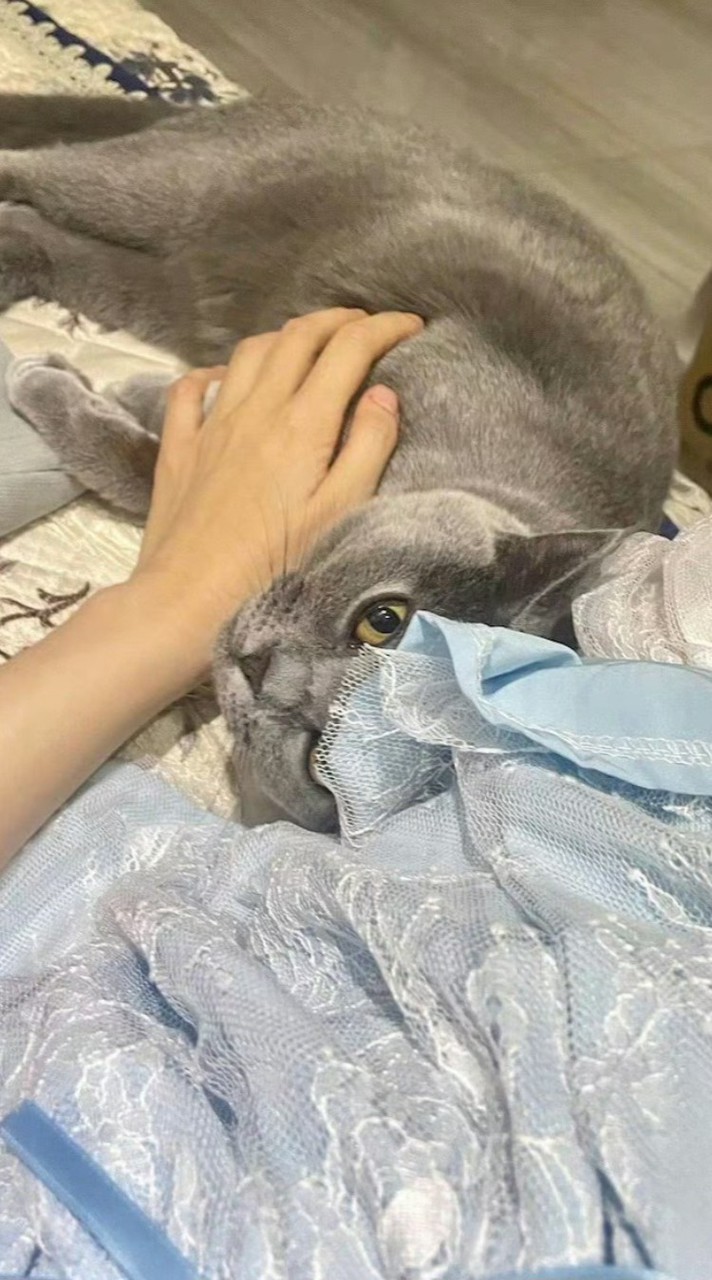 เบสพงเบสพาท