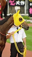 ぽぴの競馬チャンネルのオープンチャット