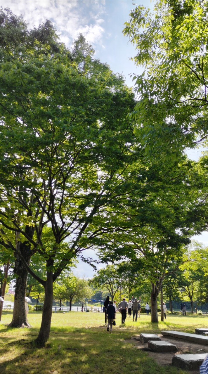 思い出話をしませんか😄楽しかった子供の頃や面白かった事、昔懐かしい、あの頃に🌷(女性限定です)