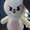 straykids__""