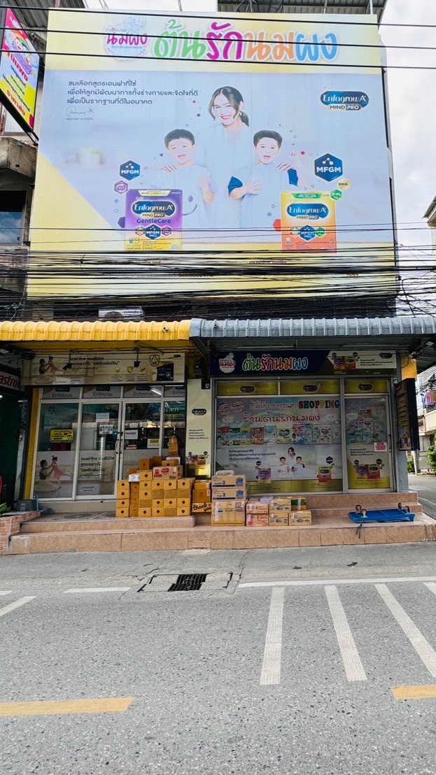 ต้นรักนมผง(แจ้งโปรโมชั่น)