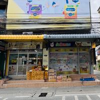 ต้นรักนมผง(แจ้งโปรโมชั่น)