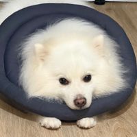 ☁️ 叢哥的好物分享群♡