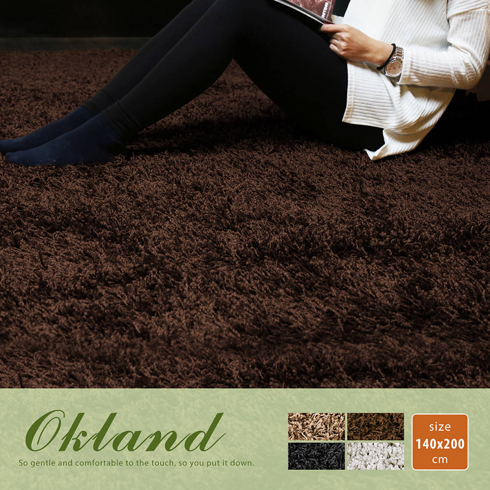 H&D-Okland 奧克蘭素色簡約長毛地毯(140*200公分)