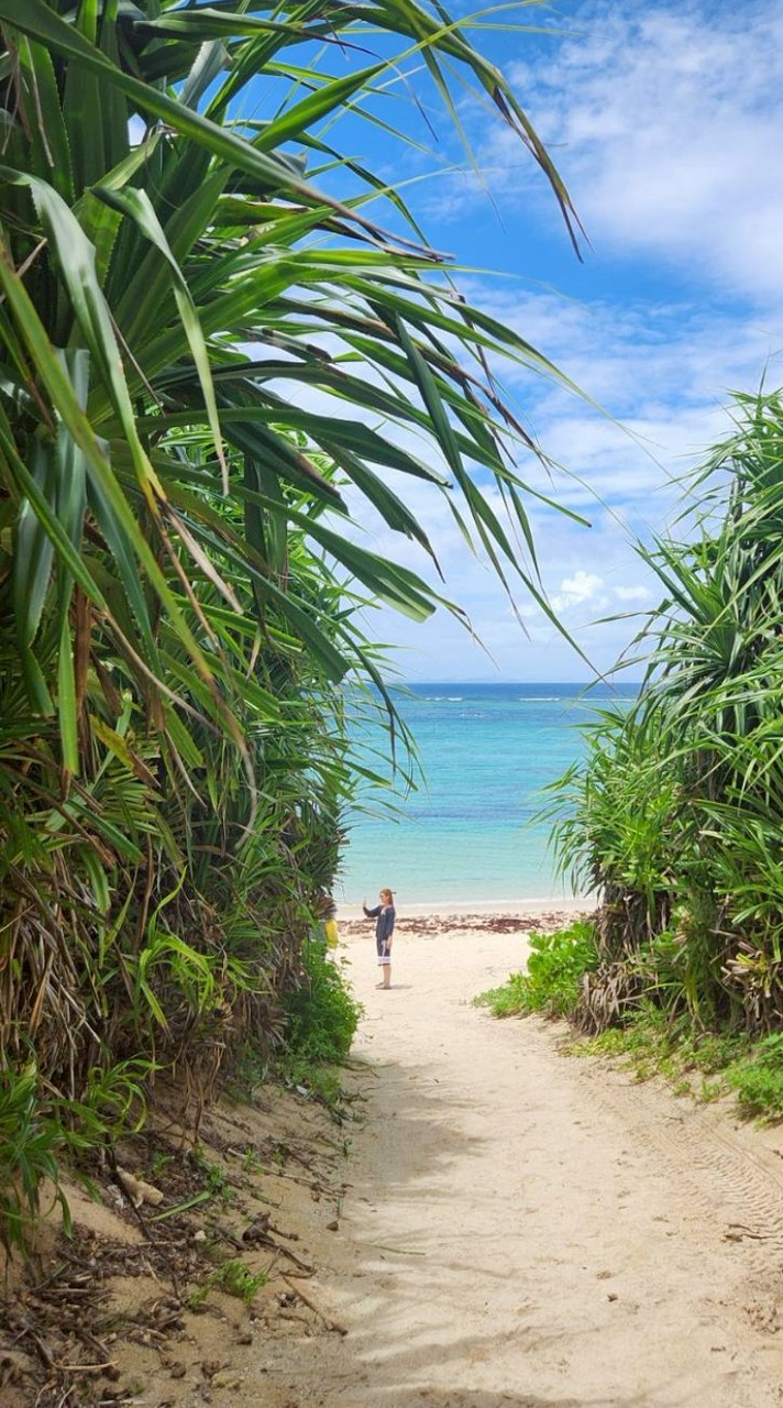 🥭沖縄🍍ともだちになろう♬🌴どぅしにならな〜🌞