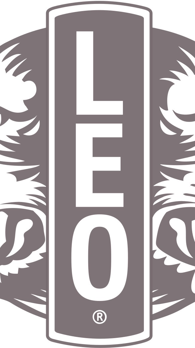 LEO 310E