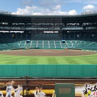 沖縄🏝🌺阪神タイガース好き集まれ🐯