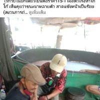 ซื้อขายไก่ชนที่ผ่านไฟท์เท่านั้น