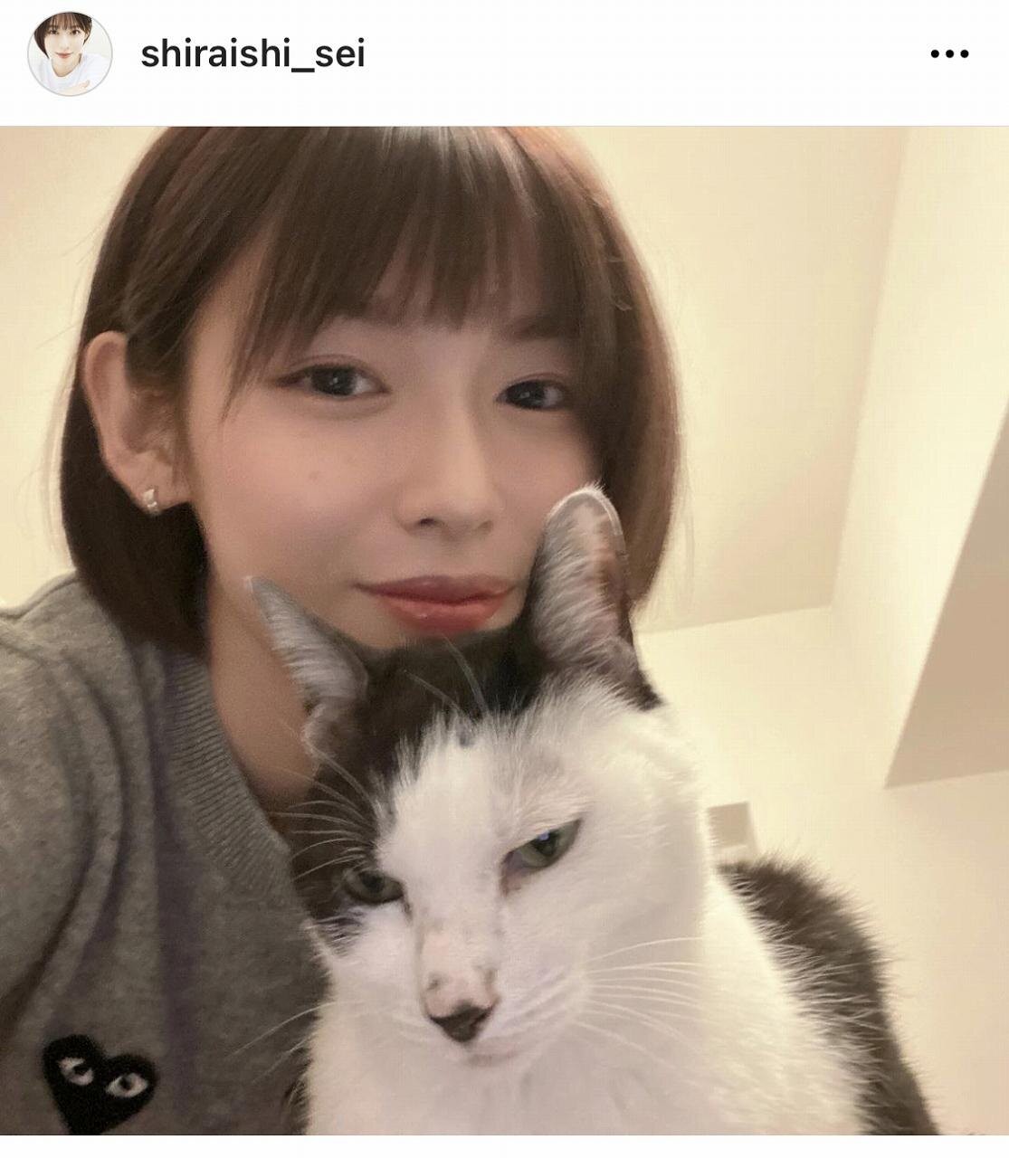 白石聖 可愛いの大渋滞 不機嫌顔 な愛猫との2shotに スーパー可愛い猫の日 可愛いの宝石箱だにゃん の声 ザテレビジョン