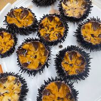 現撈.現釣評價海鮮買賣（蔡歐歐）