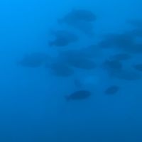 就職活動中のフリーター集合！