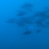 就職活動中のフリーター集合！