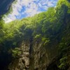 阿茲海默症群友會