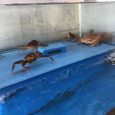 写真 横浜甲羅本店 カニリョウリヨコハマコウラホンテン 牛久保西 センター北駅 魚介 海鮮料理 By Line Conomi