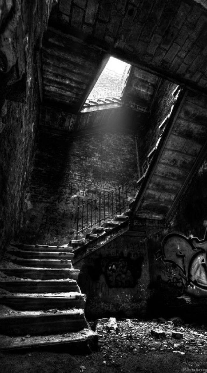 « 𝕾𝖍𝖊𝖕𝖙𝖔𝖓 𝕸𝖆𝖑𝖑𝖊𝖙 𝖕𝖗𝖎𝖘𝖔𝖓 » ⌫