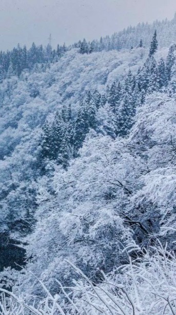 舞繪-飄雪