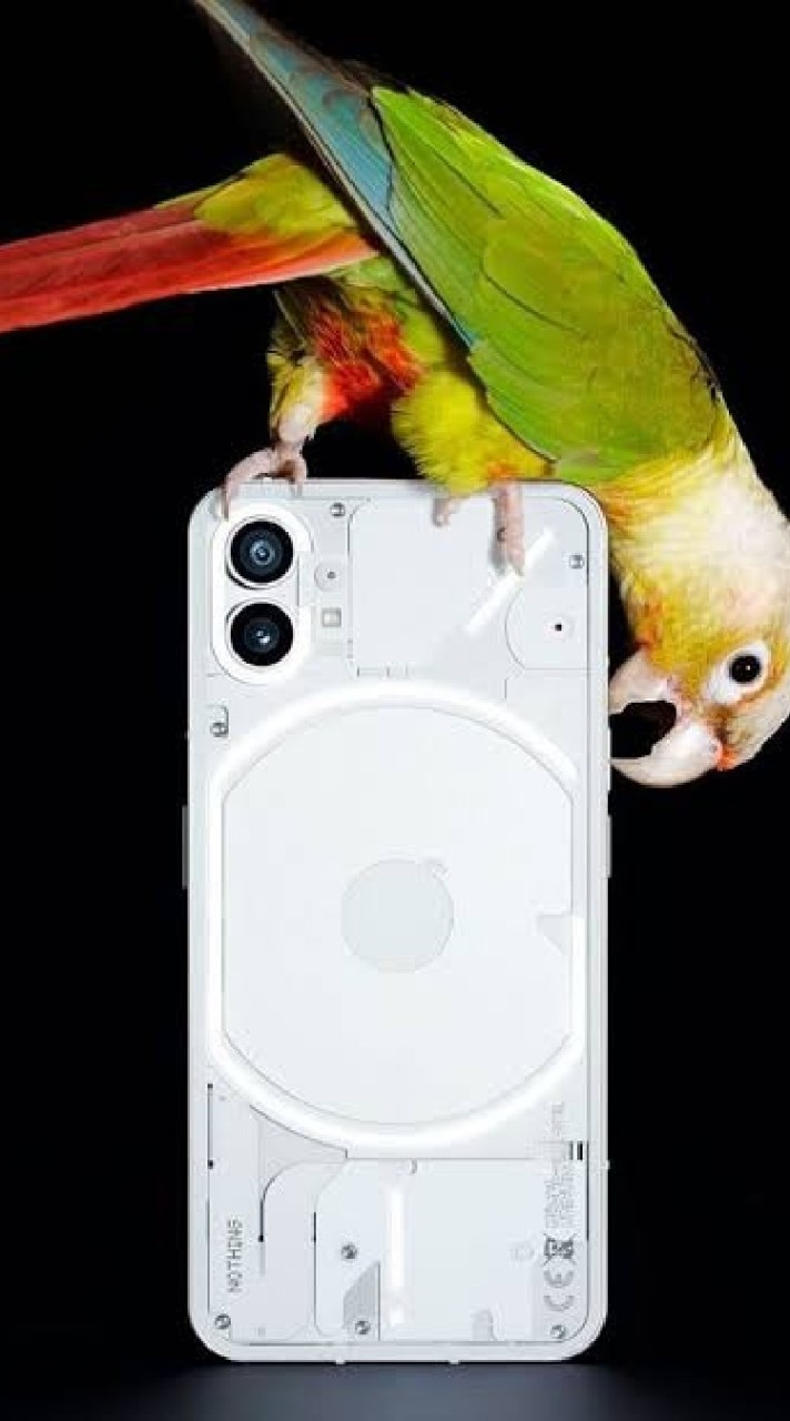 nothing phone (1)