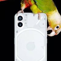 nothing phone (1)