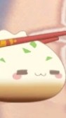 貓保家人jian的很cute