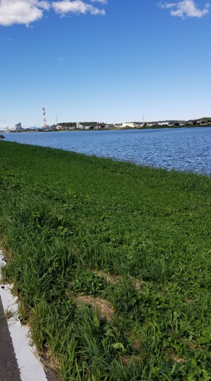 千葉県 茨城県バス釣り オープンチャット検索のコチャマ