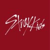 Stray Kids 進度群 moi